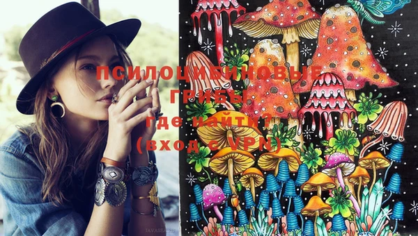 таблы Гусиноозёрск